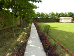 Green walking area outside Male Residential Complex
